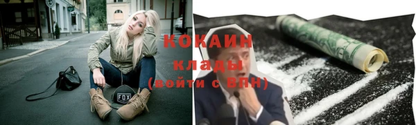 ПСИЛОЦИБИНОВЫЕ ГРИБЫ Ладушкин