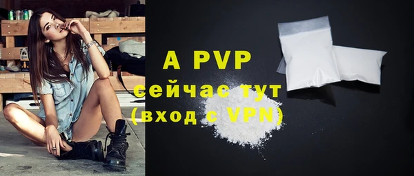 ПСИЛОЦИБИНОВЫЕ ГРИБЫ Ладушкин