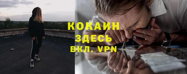 ПСИЛОЦИБИНОВЫЕ ГРИБЫ Ладушкин