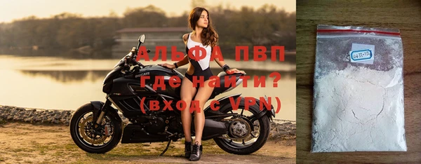 ПСИЛОЦИБИНОВЫЕ ГРИБЫ Ладушкин