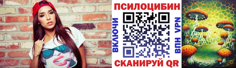 Псилоцибиновые грибы Psilocybine cubensis  Купить  Тогучин 