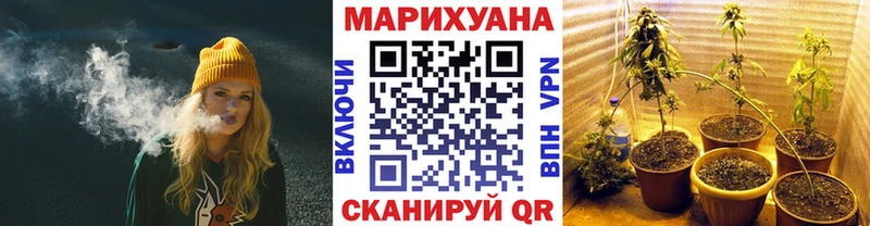 Конопля Bruce Banner  Купить где  Тогучин 